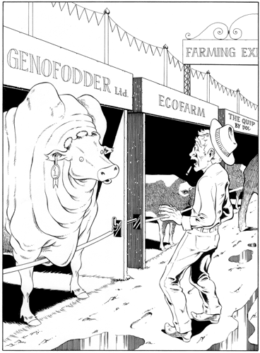 Illustration - A fair cow